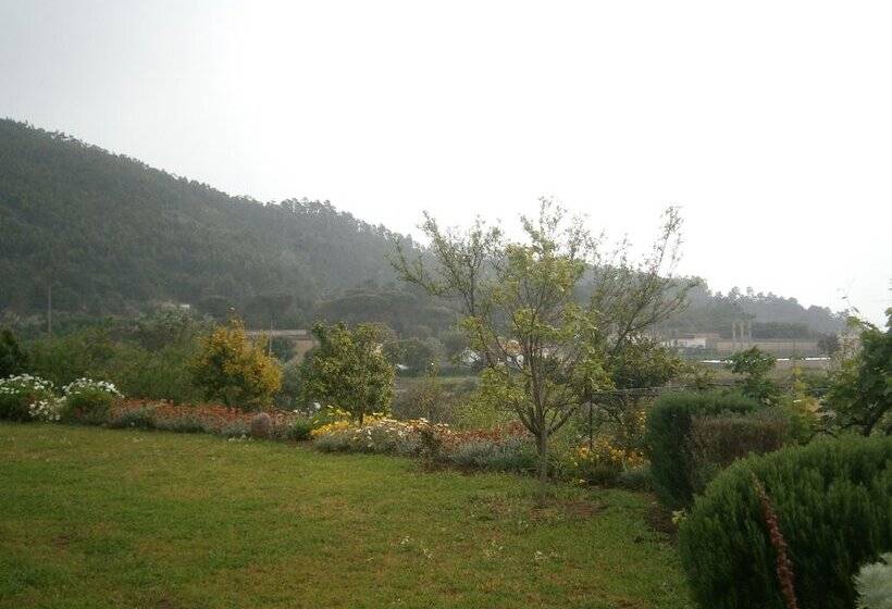 Quinta Do Tempo
