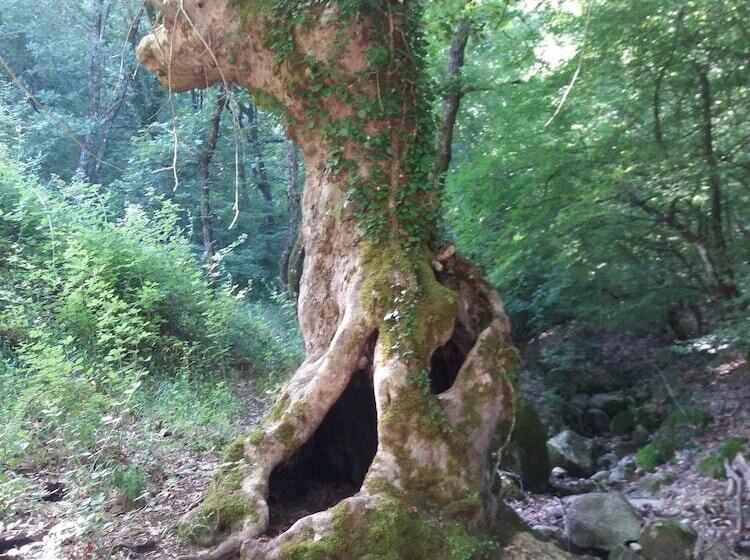 Host El Greco   Hostel