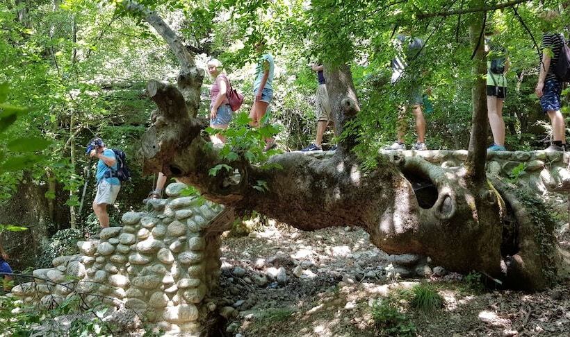 Host El Greco   Hostel