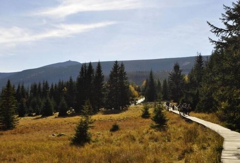 تختخواب و صبحانه Victoria Karpacz