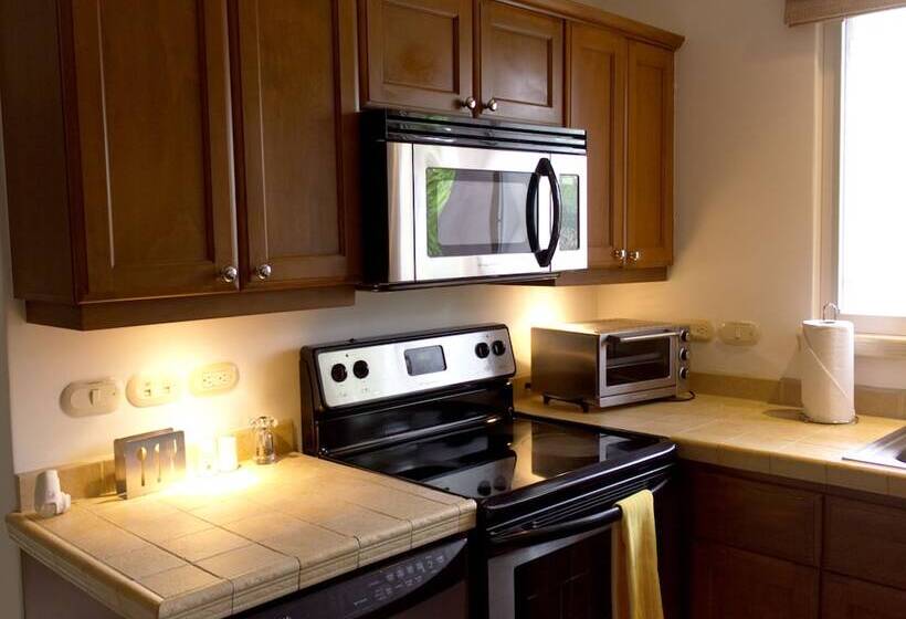 Cr Luxury Los Sueños Condos