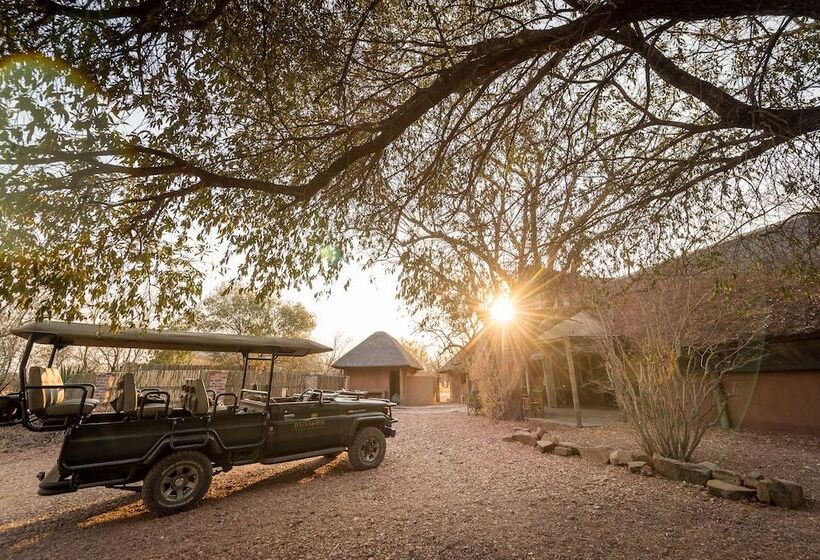 فندق Bushwa Game Lodge