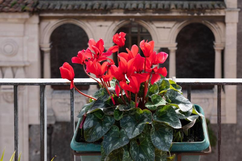 تختخواب و صبحانه Terrazza Santa Chiara
