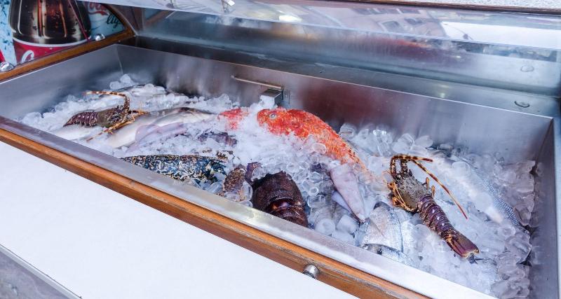 פנסיון Bed&breakfast Sorgo Palace