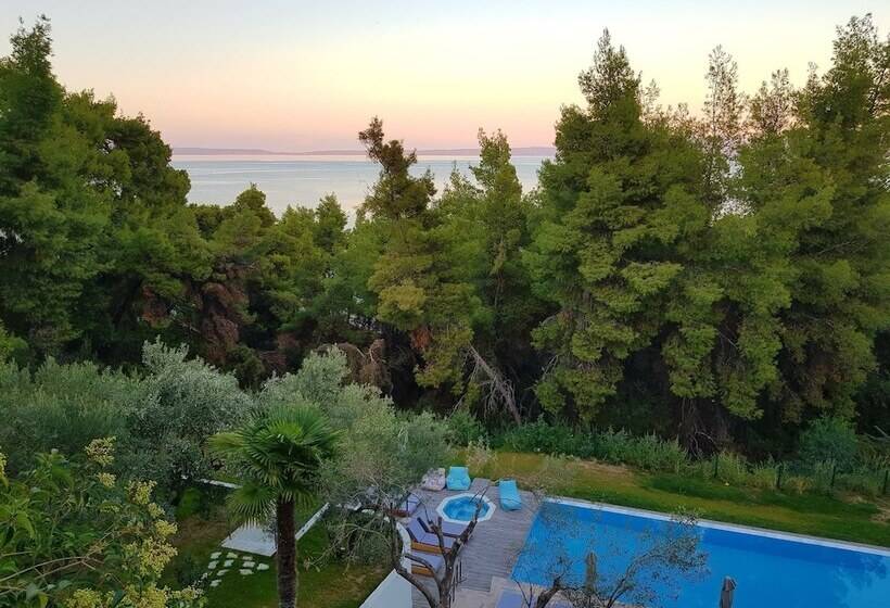 Avatel Eco Lodge