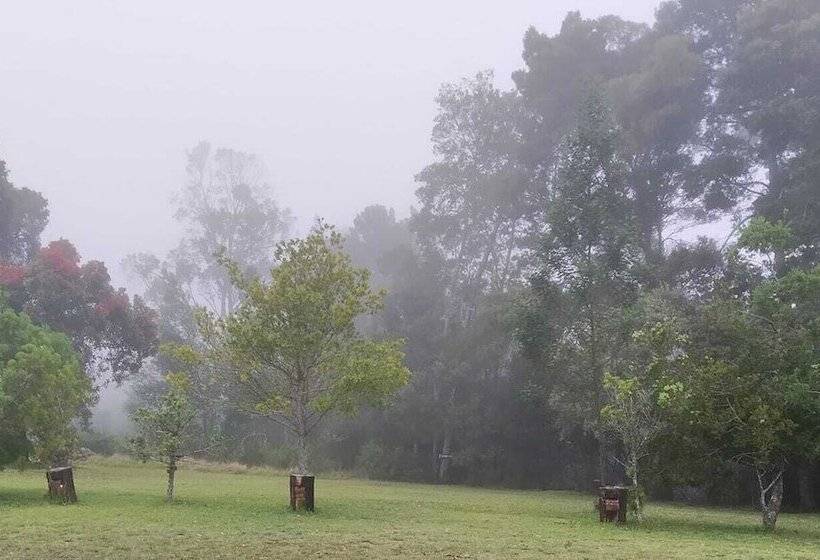 هتل Green Hills Forest Lodge