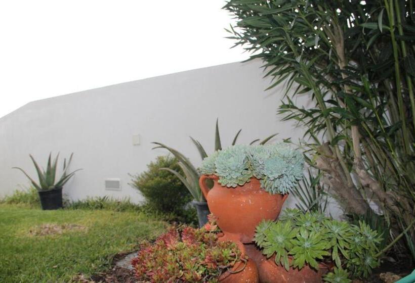 Alentejo`s Nest