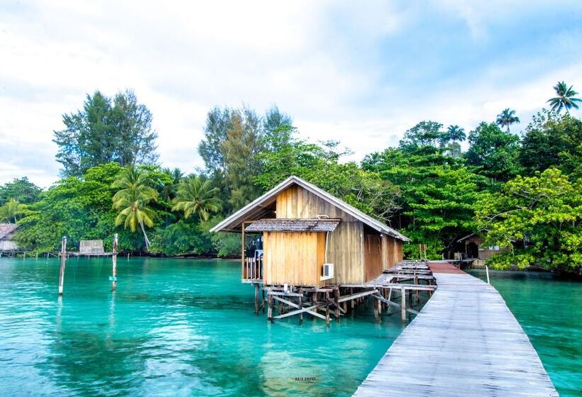 هتل Hamueco Dive Resort Raja Ampat