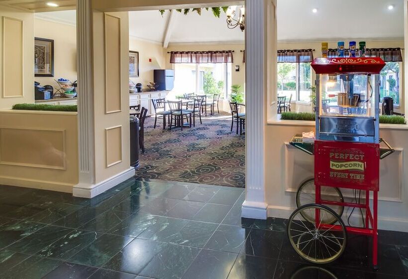 فندق Ashmore Inn And Suites Lubbock