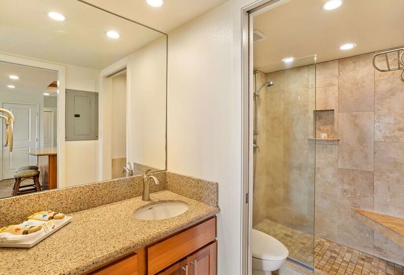 酒店 Aston At The Maui Banyan