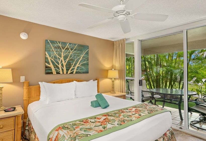 酒店 Aston At The Maui Banyan