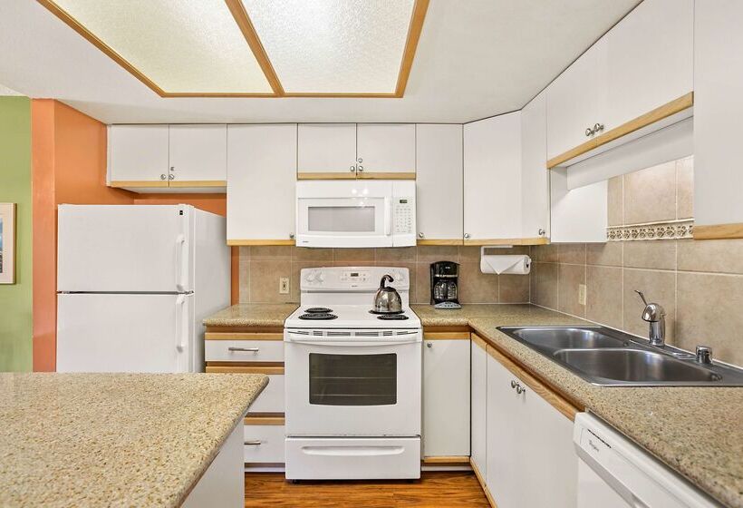 酒店 Aston At The Maui Banyan