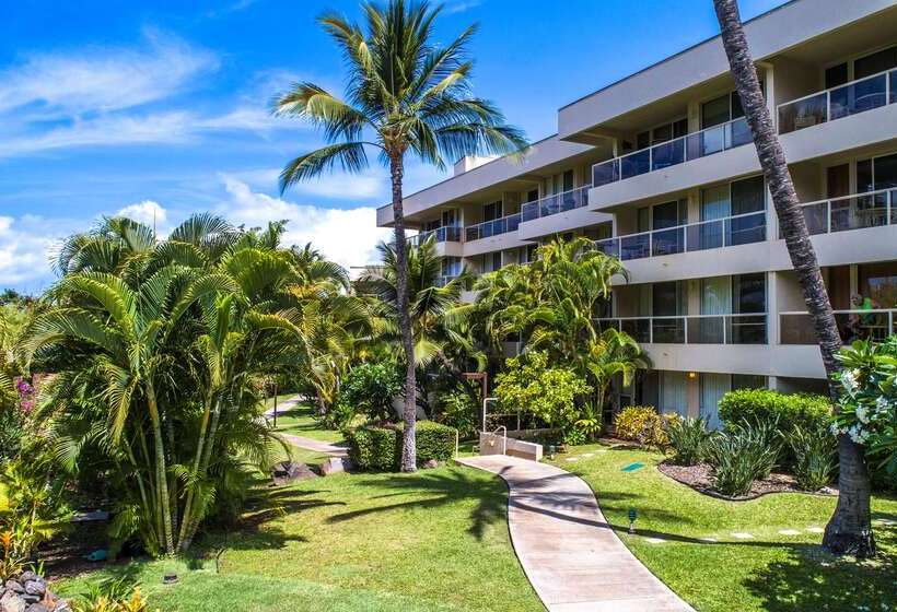 酒店 Aston At The Maui Banyan