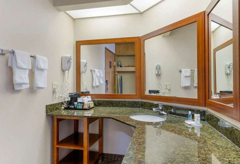 فندق Comfort Inn Anderson South