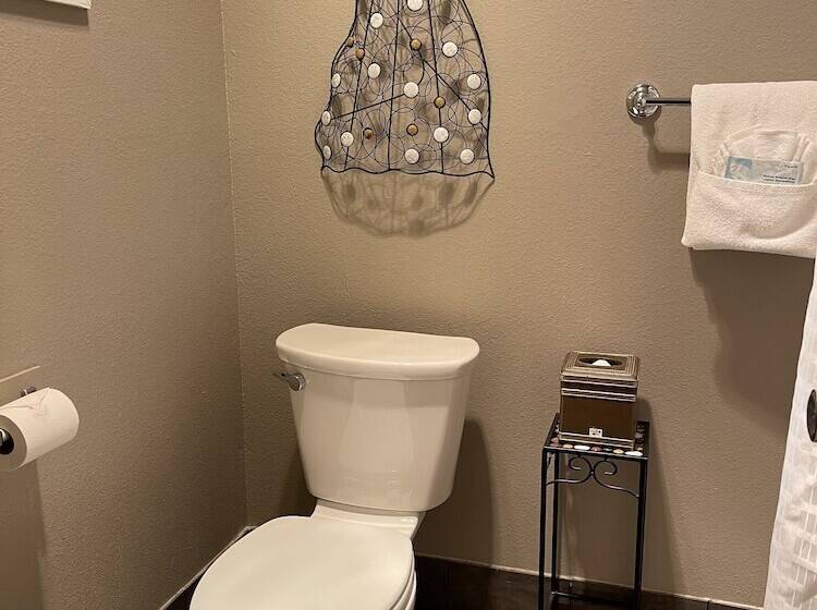 בית מלון כפרי The Alder Inn