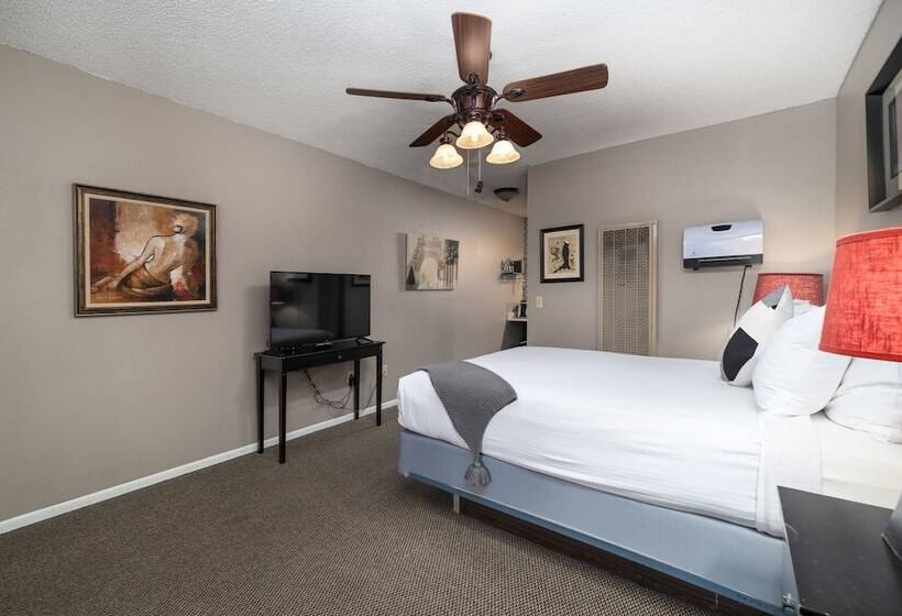 בית מלון כפרי The Alder Inn