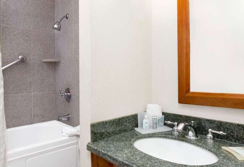 فندق Wyndham Garden Baronne Plaza