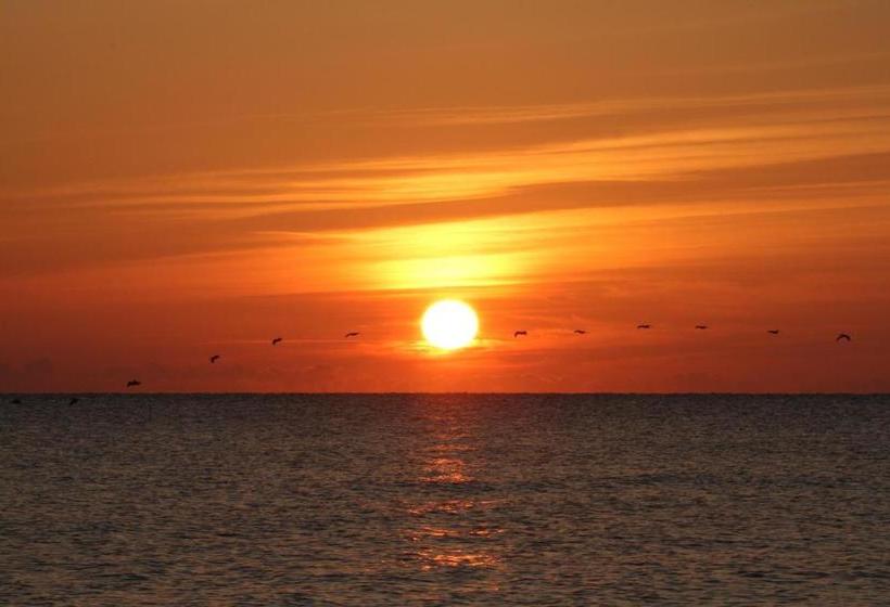 فندق على الطريق Oceanfront Inn And Suites  Ormond