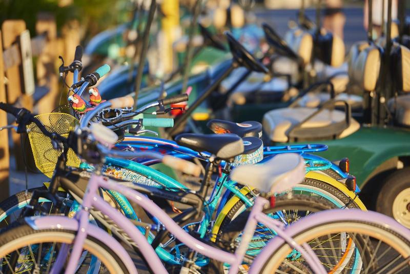 فندق على الطريق The Bay Resort