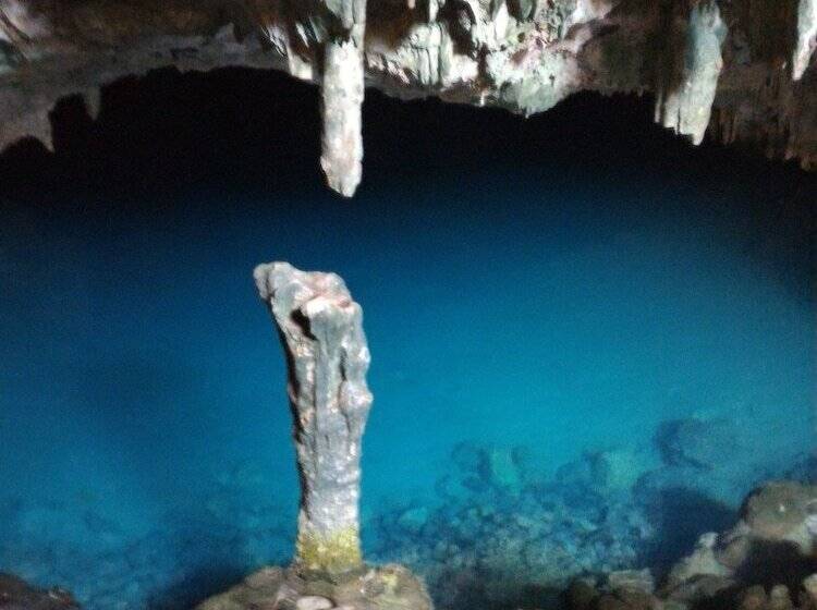 هاستل Dragon Dive Komodo Dive Resort