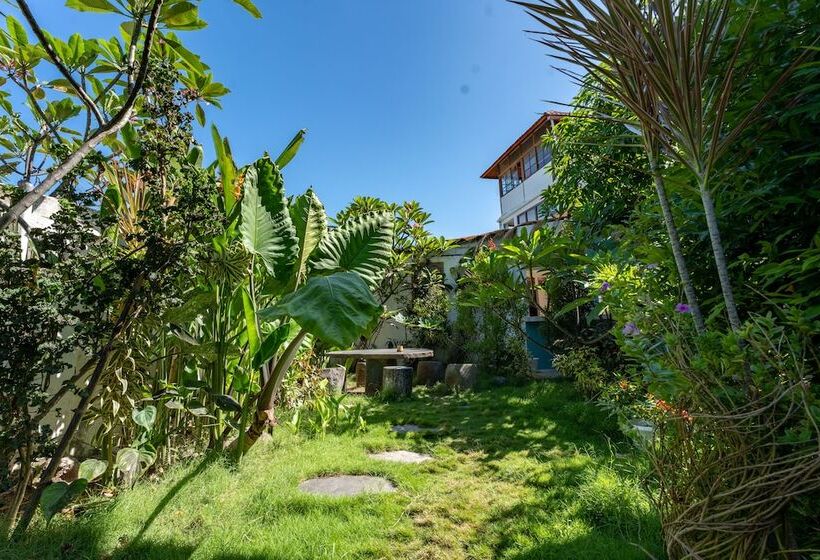 هاستل Dragon Dive Komodo Dive Resort