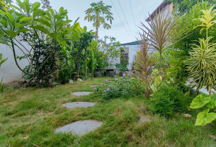 هاستل Dragon Dive Komodo Dive Resort