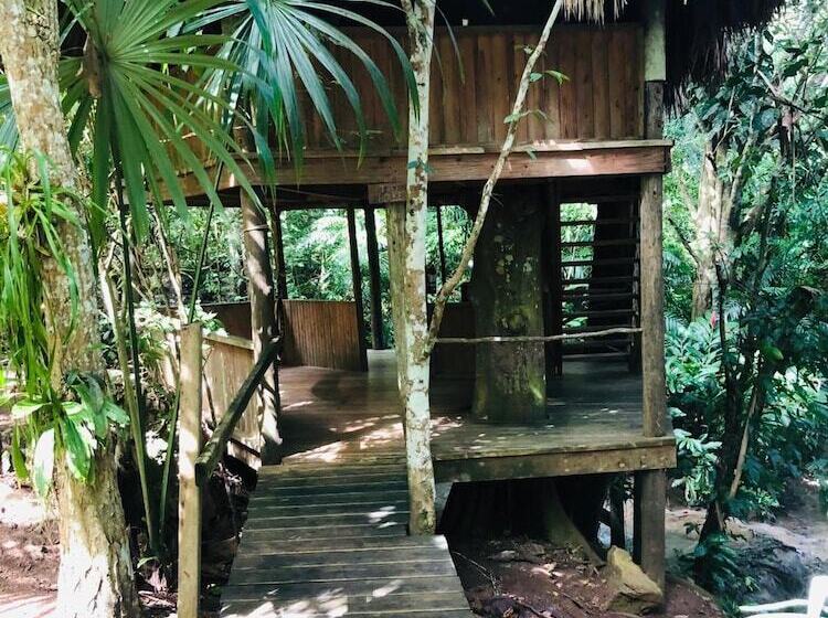 בית מלון כפרי Martz Farm Treehouses & Cabanas
