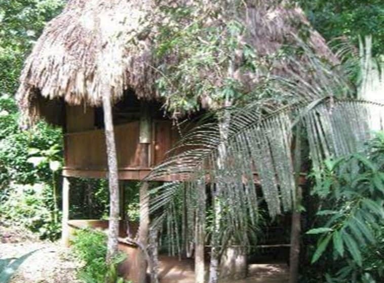 בית מלון כפרי Martz Farm Treehouses & Cabanas