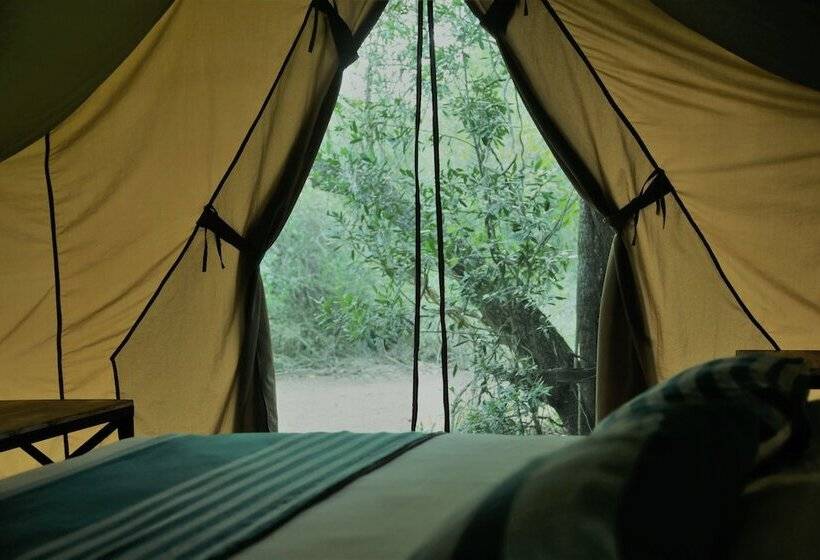 Отель Base Camp Wilpattu