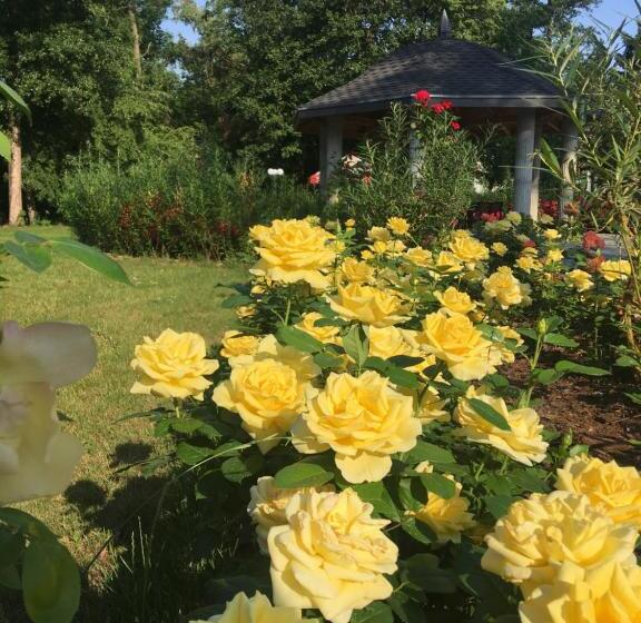 ホテル Willa Starosty