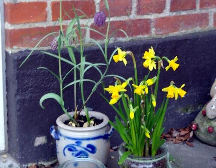 Agervig Bed & Breakfast