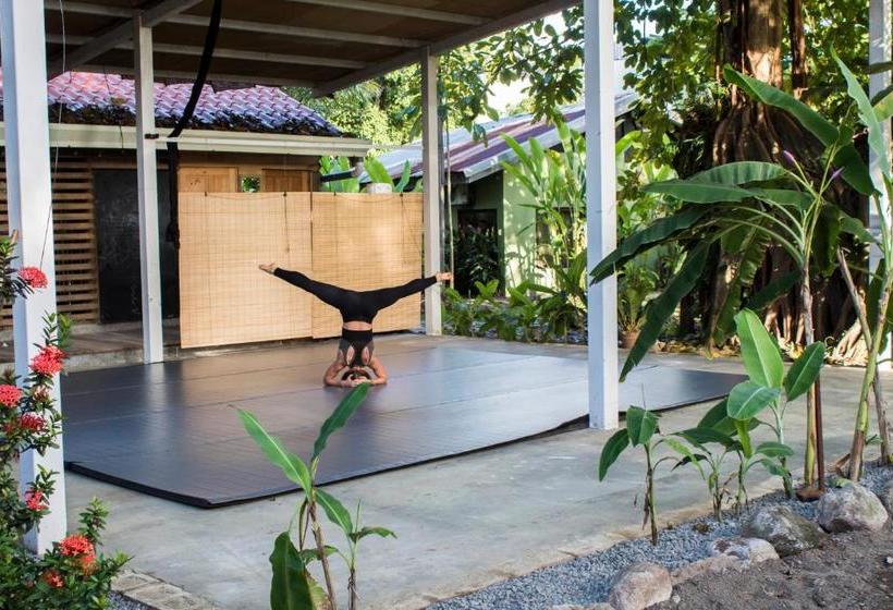 هاستل Jaco Inn