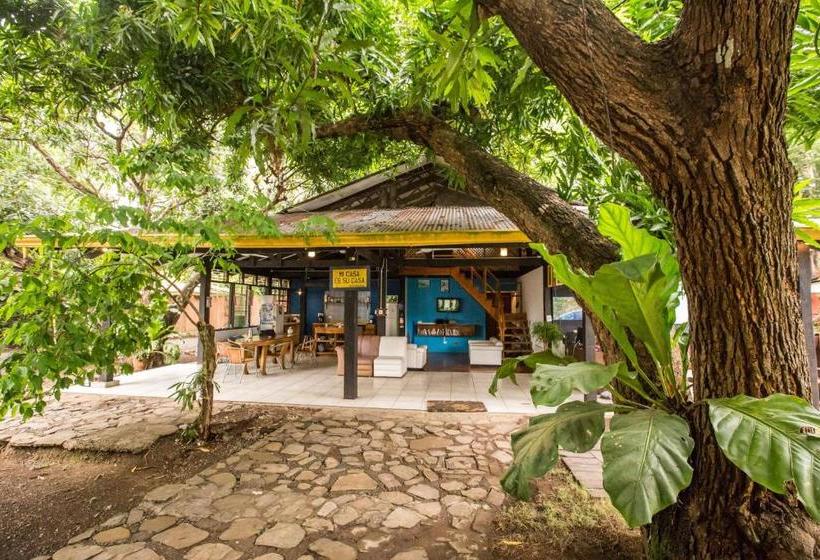 هاستل Jaco Inn