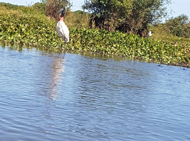 فندق Pousada Porto Da Fazenda
