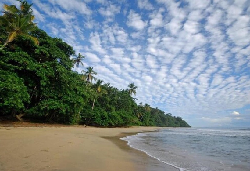 Terrazas Del Caribe