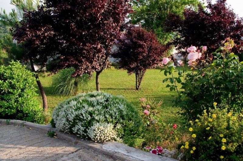 El Rincón De La Rosa