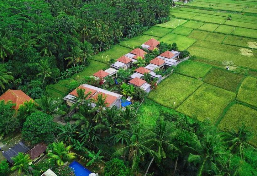 Asri Sari Resort