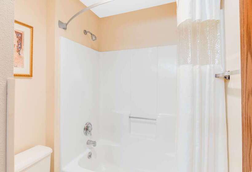 هتل Baymont By Wyndham Kalamazoo West