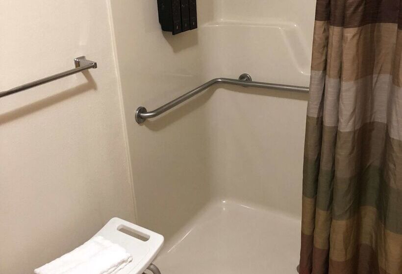 호텔 Best Western Dallas Inn & Suites