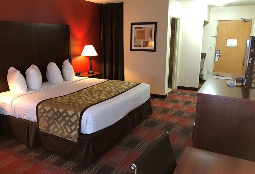 호텔 Best Western Dallas Inn & Suites