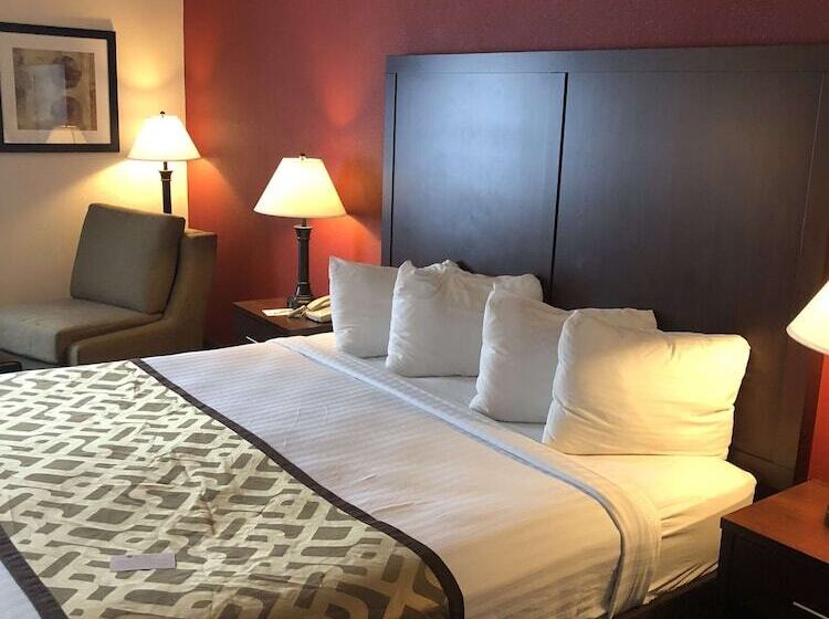 호텔 Best Western Dallas Inn & Suites