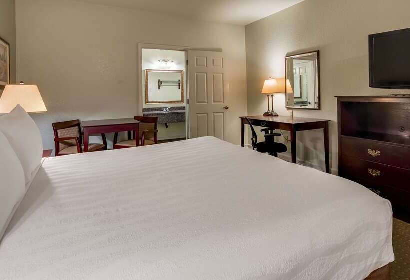 فندق Best Western Plus Bayshore Inn