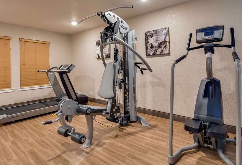 فندق Best Western Plus Bayshore Inn