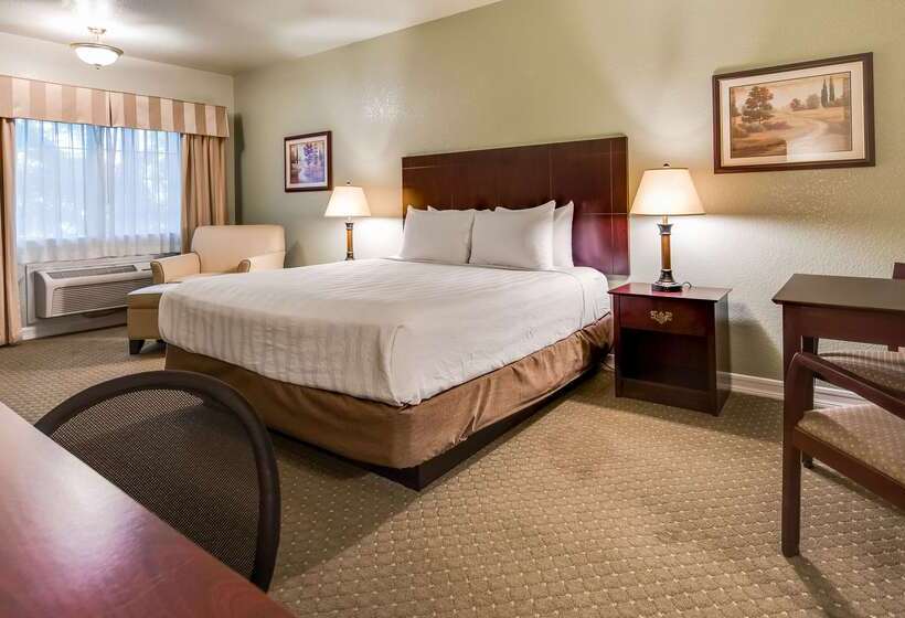 فندق Best Western Plus Bayshore Inn