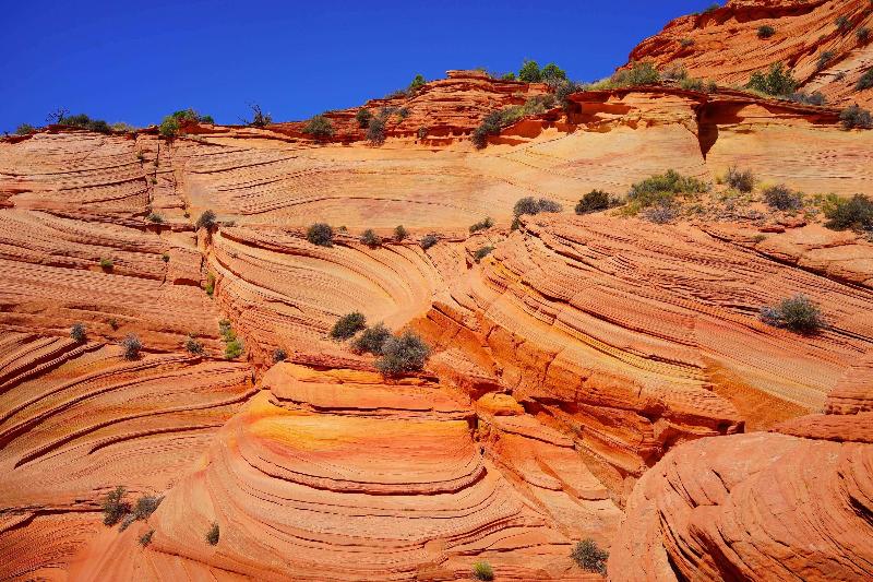 فندق Best Western View Of Lake Powell