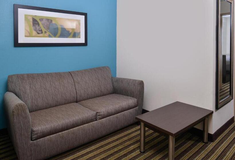 ホテル Holiday Inn Express Montgomery East I 85, An Ihg