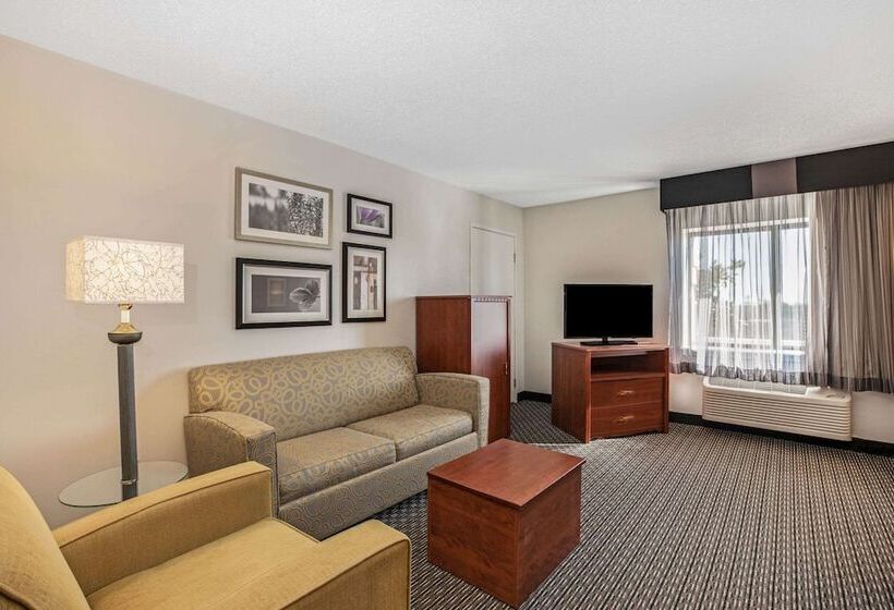 هتل La Quinta By Wyndham N Little Rock   Mccain Mall