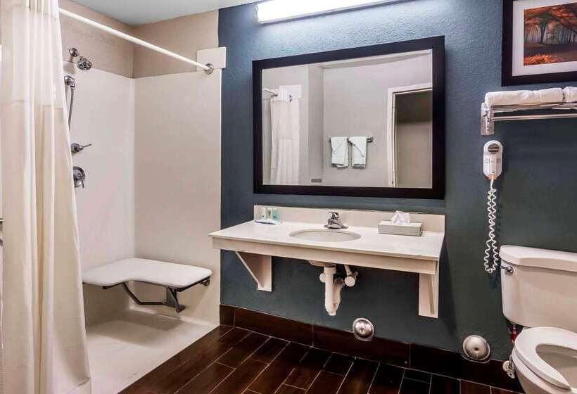 酒店 Quality Inn & Suites Exmore