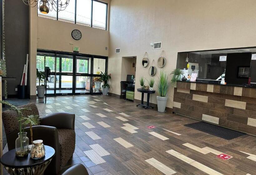 酒店 Quality Inn & Suites Exmore