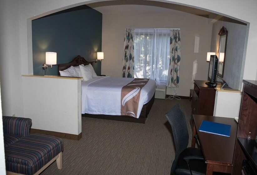 酒店 Quality Inn & Suites Exmore